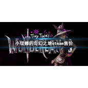 《小缇娜的奇幻之地》steam售价 steam多少钱