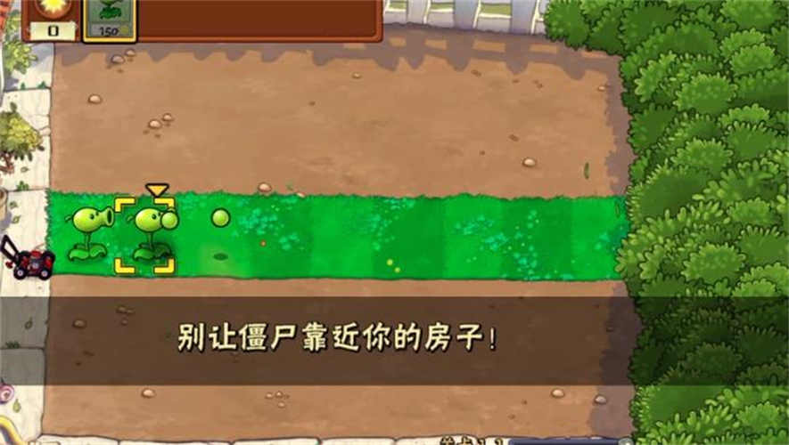 植物大战僵尸Wa游戏安装