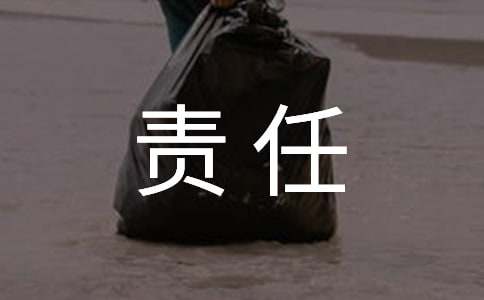 合伙人责任协议书范本（通用12篇）