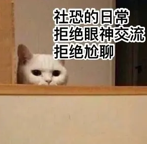 摆烂式社交是什么意思 摆烂式社交梗介绍