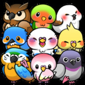 小鸟生活安卓下载