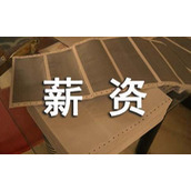 薪资协议书