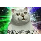 里巴梗是什么意思详情