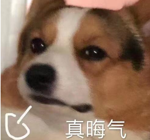 《抖音》稳啦稳啦是什么梗
