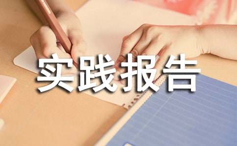 农村环境卫生整治实践报告（精选12篇）