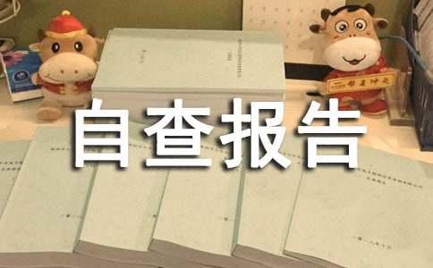 师德师风个人自查报告