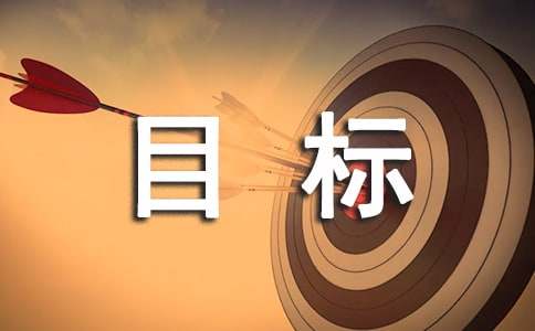 项目绩效目标执行监控报告