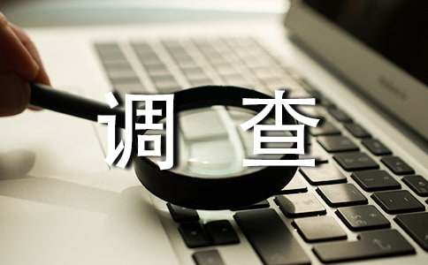 员工满意度调查报告