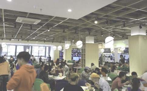 食堂满意度调查报告