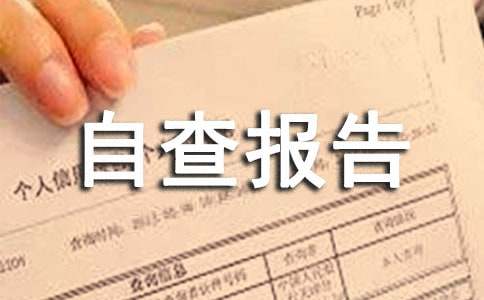 单位作风整顿自查报告