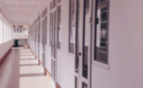学校财务审计自查报告