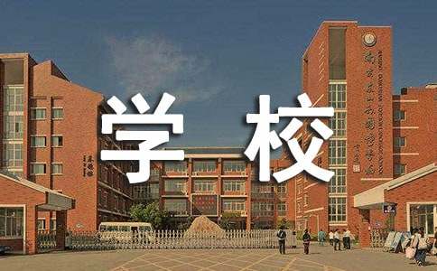 学校财务清查自查报告范文