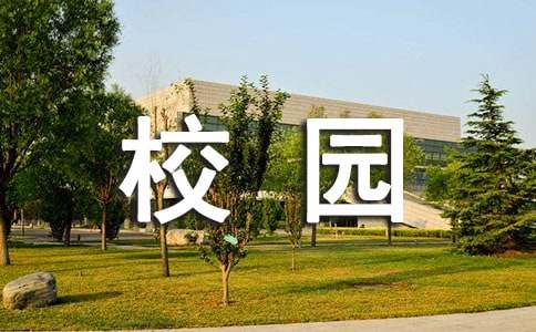 校园食品安全调查报告
