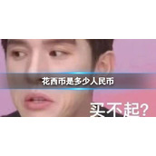 花西币怎么计算价格1花西币等于多少