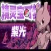精灵宝可梦紫光版