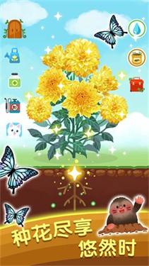 指尖花园下载安装