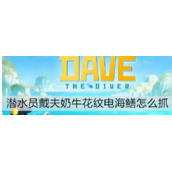 潜水员戴夫奶牛花纹电海鳝怎么抓