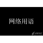 二进制人生梗意思介绍