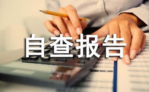 印章管理情况自查报告
