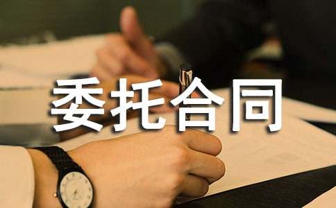 风险代理委托合同