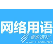 全全全全是鱼是什么梗有哪些含义
