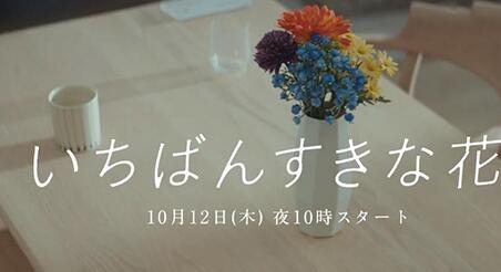 《最喜欢的花》电视剧好久播出