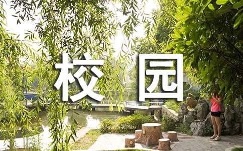 校园文化艺术节学生代表发言稿