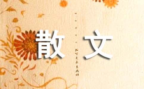 我看到了属于自己的天使散文