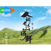 《人间有味山河鲜2》综艺9月29日播出