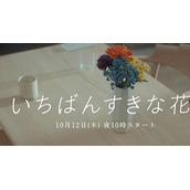 《最喜欢的花》电视剧好久播出