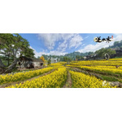 《逆水寒手游》闻潮踏海寻画任务策略