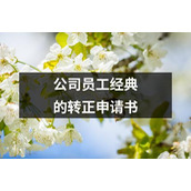 公司员工经典的转正申请书