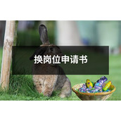 换岗位申请书
