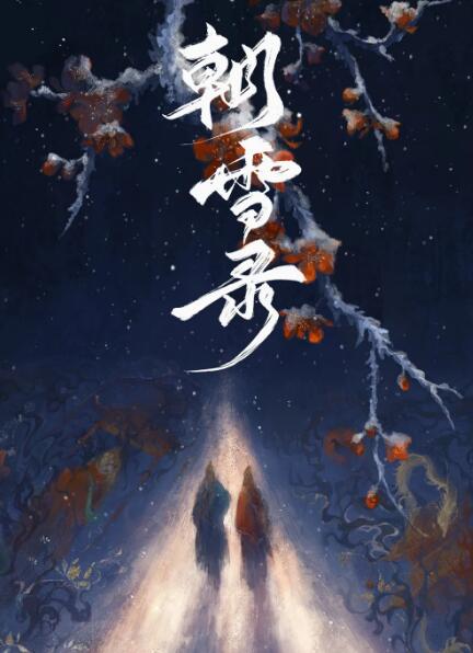 《朝雪录》电视剧讲述了什么故事