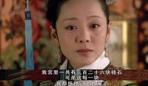 《哔哩哔哩》砖妃梗的来源及出处