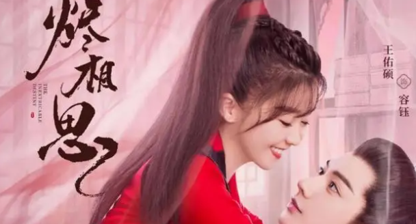 《烬相思》根据哪部小说改编的
