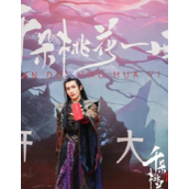 《千朵桃花一世开》电视剧演员阵容一览