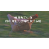 《抖音》老乡鸡说唱梗的来源及出处