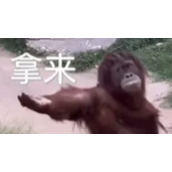 《抖音》爆金币梗的来源及出处