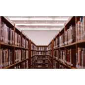 破坏学校公物的检讨书