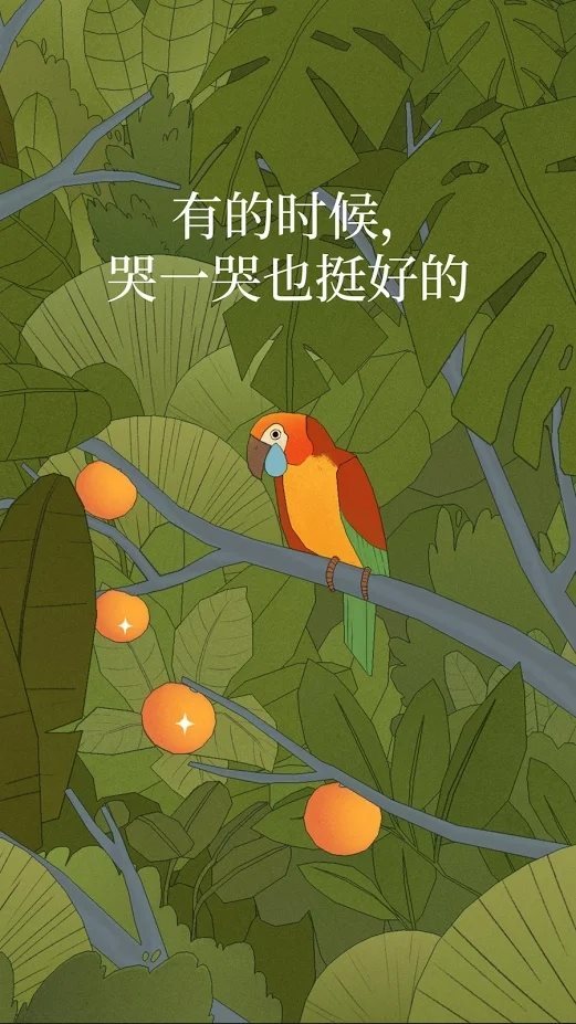 孤独的鸟儿（安装）