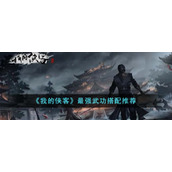 《我的侠客》最强武功搭配推荐