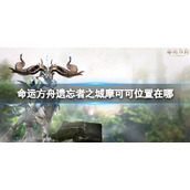 《命运方舟》遗忘者之城摩可可位置攻略