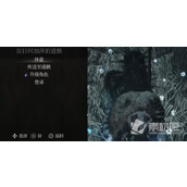 《堕落之主》前期快速刷魂石策略