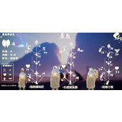 光遇晨岛先祖兑换图汇总