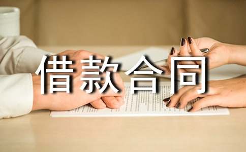【优秀】金融机构借款合同