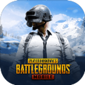pubg地铁逃生(（正式版）