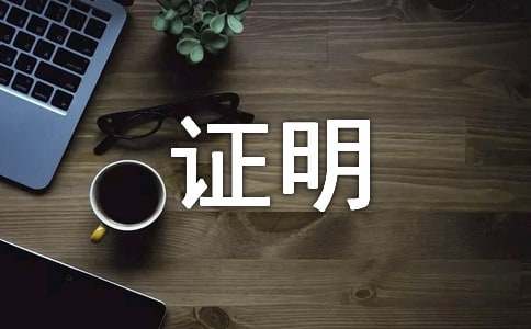 证明正文字体格式