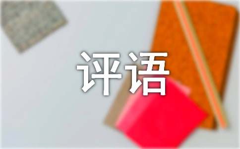 精选干部工作表现评语