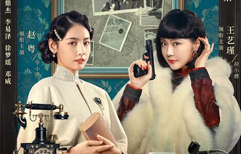 《见习女探》电视剧讲述了什么故事